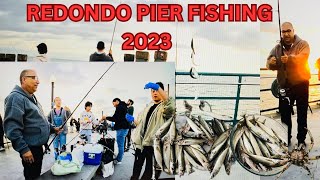 REDONDO BEACH PIER FISHING 2023 [upl. by Terrag]