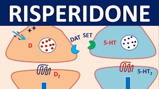 Risperidone  Mechanism side effects precautions amp uses [upl. by Eirena]