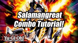 YuGiOh Salamangreat Combo Tutorial [upl. by Gall]