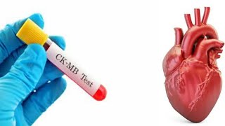 Creatine Phosphokinase Myocardial Bands CKMB blood test Explained [upl. by Christabella714]