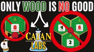 ONLY Wood is NO Good  CATAN LABS [upl. by Carisa]