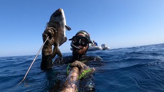 SARAGONI in TANA alle ISOLE EOLIE 🐟 [upl. by Arsuy]