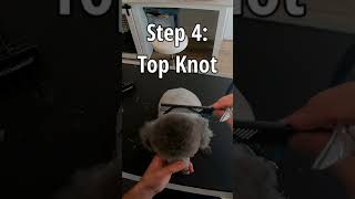 How to do a Poodle Face poodle dog grooming [upl. by Genie]