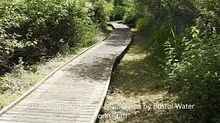 The boardwalk on the Bittern trail at Chew Valley Lake [upl. by Akerdal]