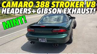 1995 Chevy Camaro Z28 388 Stroker V8 w HEADERS amp GIBSON CATBACK EXHAUST [upl. by Ayisan]