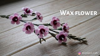 Felt Flowers DIY  How to Make Wax Chamelaucium Felt Flower  Tutorial Felt DIY English Sub [upl. by Arsuy227]