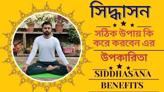 Siddhasana  সিদ্ধাসন এর পদ্ধতি ও উপকারিতা  How to do siddhasan perfectly [upl. by Golding]