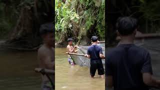 Menjala Ikan di kampung wisata alam sari wisata kampungwisata menjaladisungai shorts video [upl. by Ringo]