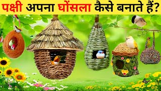 चिड़िया का घोंसला  Chidiya Ka Ghonsala  Chidiya Ghonsala Kaise Banati Hai  Amazing Birds Nest [upl. by Jillane]