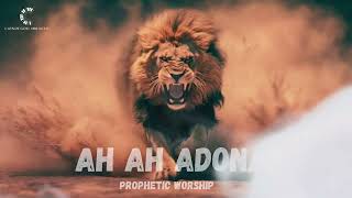 Adonai Nathaniel Bassey instrumental intercession [upl. by Naved937]