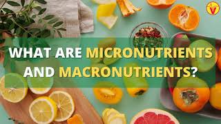 What Are Micronutrients And Macronutrients   VisitJoy [upl. by Anej]