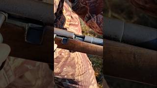 Shooting an old ESA model 1928 22 LR Rimfire Rifle short shorts shortsfeed [upl. by Tersina20]