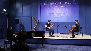 Piano Trio No1 in D Minor 2nd Movement  Mendelssohn [upl. by Anerroc291]