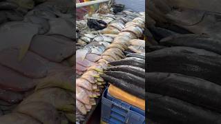 Belathur fish shop sagar fish Kadugodi viralvideo seafish fishcooking fishing food fish [upl. by Imhsar]