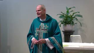 Fr Brendan McGuire Homily 20240818 [upl. by Hadsall]