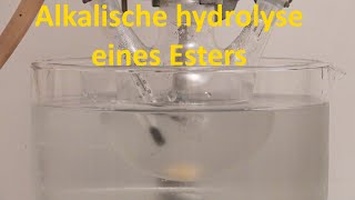 Alkalische Hydrolyse von Methylacetat [upl. by Niu]