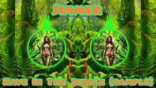 Jimmer  Rave In the Jungle [upl. by Iruyas]