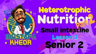 Biology  heterotrophic nutrition  part 3  small intestine [upl. by Ark425]