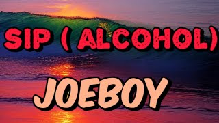 JOEBOY  SIP  ALCOHOL  LYRICS VIDEO [upl. by Alehcim]