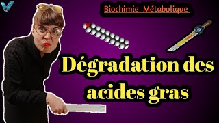 Biochimie métabolique en arabe Dégradation des Acides Gras Partie des Lipides SVI S4 [upl. by Namrak]