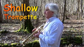 Gilles FRANCE  Shallow  Trumpet  星が生まれる トランペット [upl. by Hadihahs]