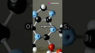 How Did Life Begin on Earth scienceshorts lifeonearth science sciencefacts youtubeshorts [upl. by Camala]