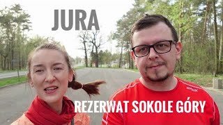 Rezerwat Sokole Góry  Jura KrakowskoCzęstochowska [upl. by Jobyna]