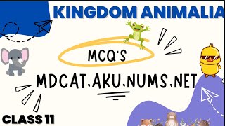 MOST IMPORTANT MCQS  DIVERSITY AMONG ANIMALS  CLASS 11  STB  AKU NUMS NET MDCAT [upl. by Sidra]