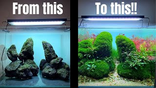 TAKE YOUR AQUASCAPE TO THE NEXT LEVEL WITH THIS MOSS METHOD [upl. by Fleda]