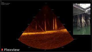 Structure inspection of bridge pilings using KONGSBERG’s Flexview multibeam sonar at 1200 kHz [upl. by Florie830]