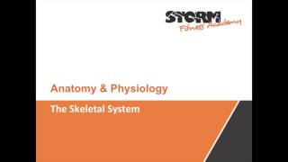 The Skeletal System [upl. by Retnyw]