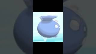 Rolling spheal so you wont be sad😁 [upl. by Hekking164]