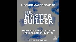 Alfonso Martinez Arias  The Master Builder [upl. by Aniret678]