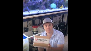 7quot Synergy Reef Filter Sock Silencer Unboxing and Review on Ice Cap 48XL Sump [upl. by Giule865]