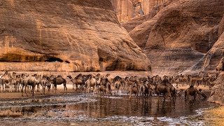 Guelta dArchei  Ennedi Chad [upl. by Nosro]