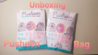 Satisfying ASMR unboxing Pusheen Paper Squishy Blind Bag [upl. by Hammond]