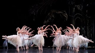 Swan Lake Corps de Ballet The Royal Ballet [upl. by Yeliab]