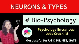 Neurons and Types BioPsychology Psychology Entrances Mind Review [upl. by Gareri731]