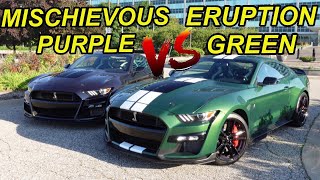 The Last 2022 Shelby GT500 Mischievous Purple vs Eruption Green Choose 1 [upl. by Bronez]