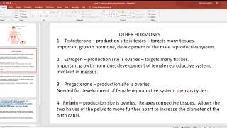 video 11 endocrine system other hormones [upl. by Nahsab748]