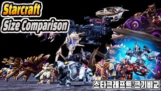 Starcraft Unit Real Size Comparison [upl. by Ettennahs]