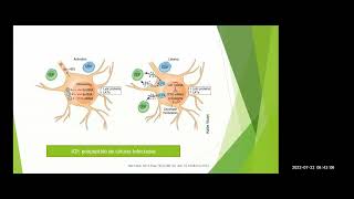 Meningitis por Herpes virus  posgrado Infectologia UNAL [upl. by Aniv626]