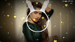 Bewafa Bewafa Bewafa Nikli Hai Tu Tiktok Dj Remix  Tiktok Trending New song  CND Collection [upl. by Ilenna]