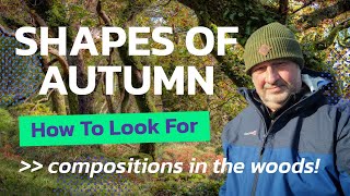 Shapes Of Autumn  How To Look For Compositions In The Woods [upl. by Enida]