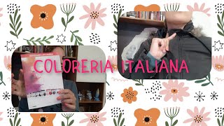 RECENSIONE COLORERIA ITALIANA COLORE NERO SU MACCHIA DI CANDEGGINA [upl. by Viviana]