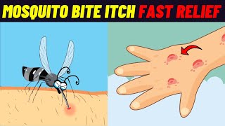 Mosquito Bite Treatment Home Remedies  Mosquito Bite Treatment [upl. by Williamsen]