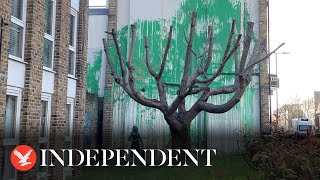 New Banksy tree mural appears in north London [upl. by Ellegna]