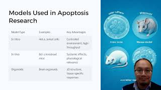 Apoptosis Explained The Science of Programmed Cell Death [upl. by Atinrahc]