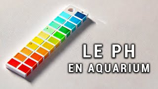 LE PH EN AQUARIUM  CE QUIL FAUT SAVOIR [upl. by Guildroy]