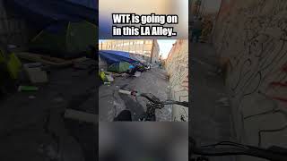 WTF IS Going on in This INSANE LA Alley 😳 [upl. by Cockburn]